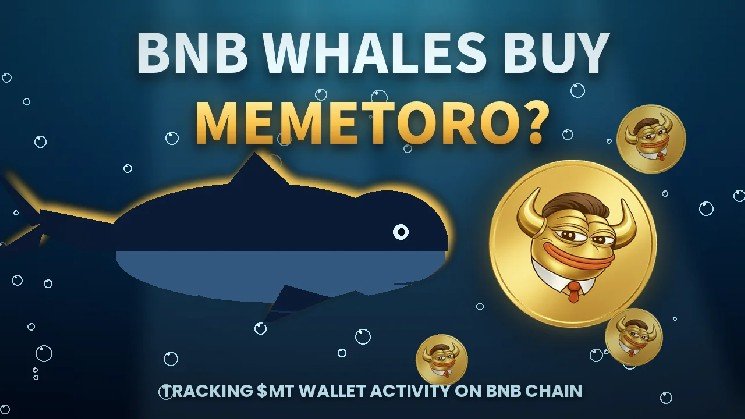 What Makes an AI Memecoin Safe Enough for MemeToro to Propose?