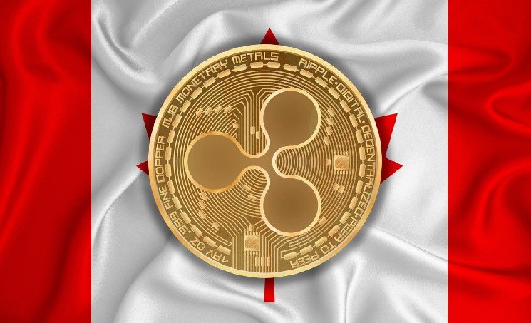 Bank of Montreal Discloses XRP Holdings in $303 Billion Portfolio