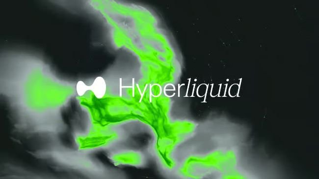 Hyperliquid treasury Hyperion triples quarterly profits as HYPE holdings rise in value