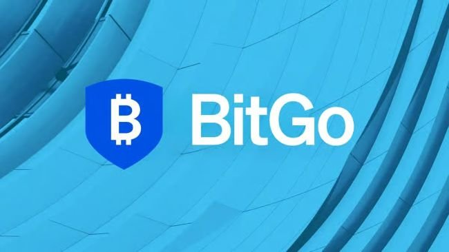BitGo sees revenue jump 80% to $4.3 billion in Q2 but posts net loss