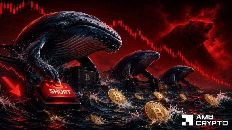 Bitcoin whales short $225.79M – THIS level could trigger BTC squeeze