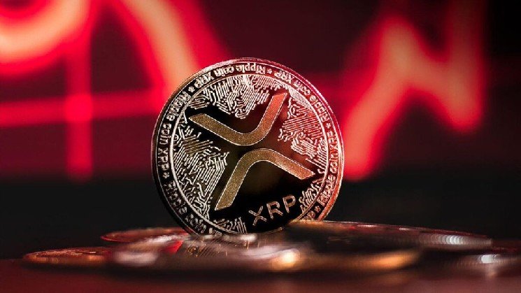 XRP Fails to Recover, Recording Lowest Daily Close Since November 2024! Here’s Why