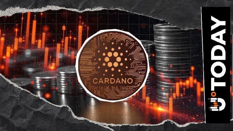 Cardano Faces 899% Liquidation Imbalance: Are Bears Trapped?