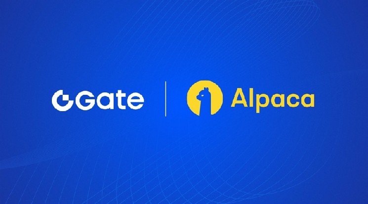 Gate Follows Binance into US Equities with 10,000 Stocks and ETFs