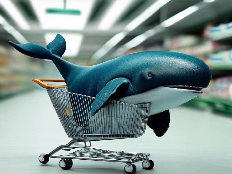 There’s Significant Whale Activity in Two Altcoins Today—Here Are Those Altcoins