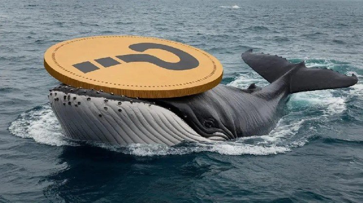 While Bitcoin (BTC) was falling, Whales weren’t idle, they changed positions: Here are the altcoins they traded…