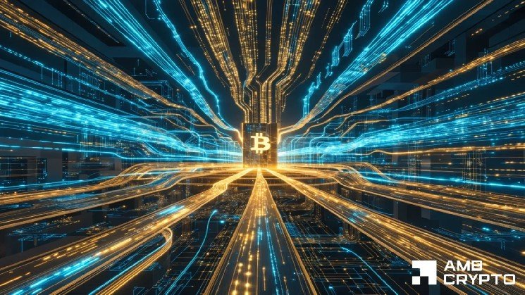 Bitcoin whales add 54,000 BTC, but price remains trapped below $65K