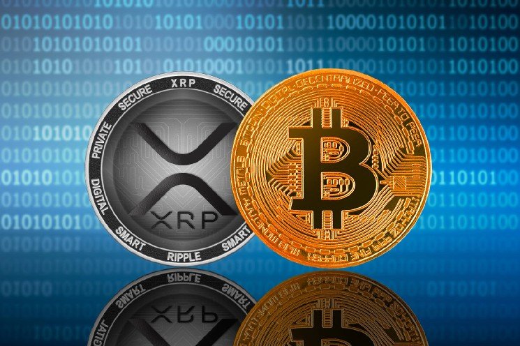 XRP Paradox: Why Ripple's 'North Star' Sinks Against USD but Prepares to Beat Bitcoin