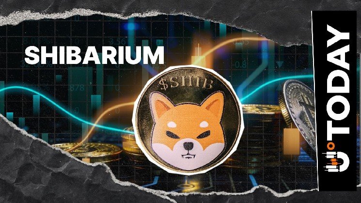 Shibarium Posts 97% Decline in DEX Volume as Shiba Inu Extends Downtrend
