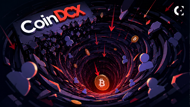 CoinDCX User Says ₹27,500 Nearly Vanished in Web3 Swap Amid Slippage Issue