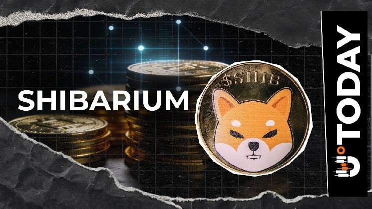 Shibarium Still Burning SHIB? Shiba Inu Veteran Gives Clue