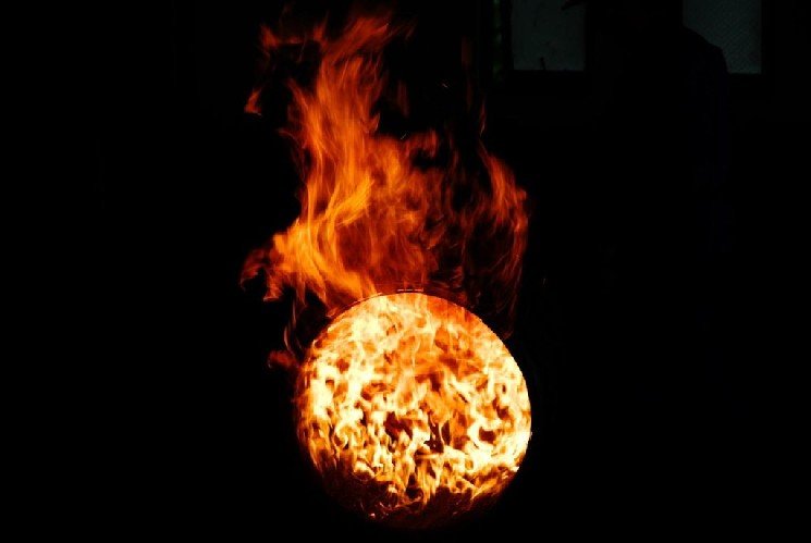 Binance Founder CZ Was Alleged to Have Burned Nearly All of Three Altcoins: The Truth Turned Out to Be Very Different