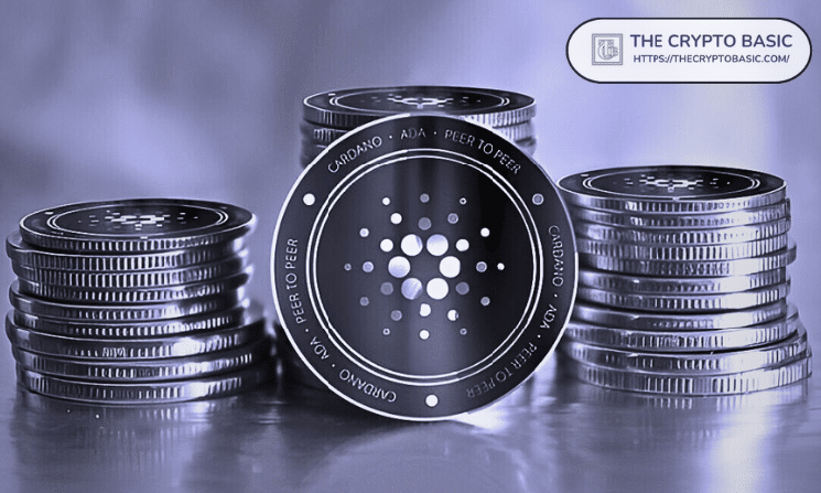 Top Cardano DRep Issues Crucial Midnight Airdrop Reminder to ADA Holders