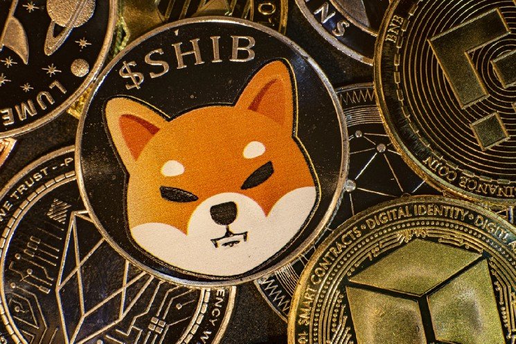 +128% in Shiba Inu (SHIB) Exchange Inflows: Can It Stop the Market Drop?
