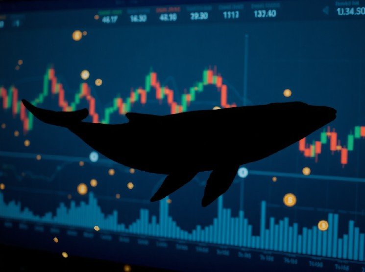 Whale Dumps 518M PUMP Tokens After 10-Month Hold, Realizes $580K Loss