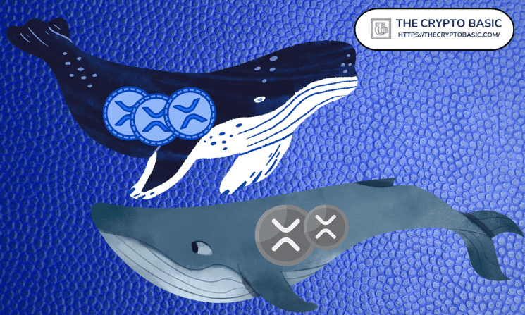 XRP Whales Are Back: $1M Transactions Surge 280% as Price Trades at 73% Discount