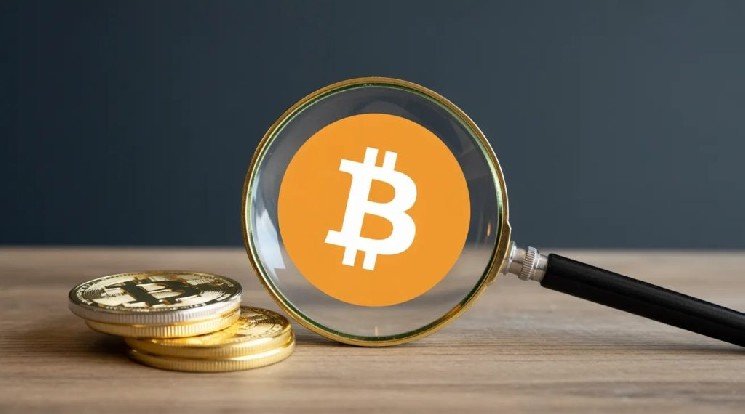 VanEck’s Bitcoin Predictions: They Predicted the Month When the Rally Could Begin