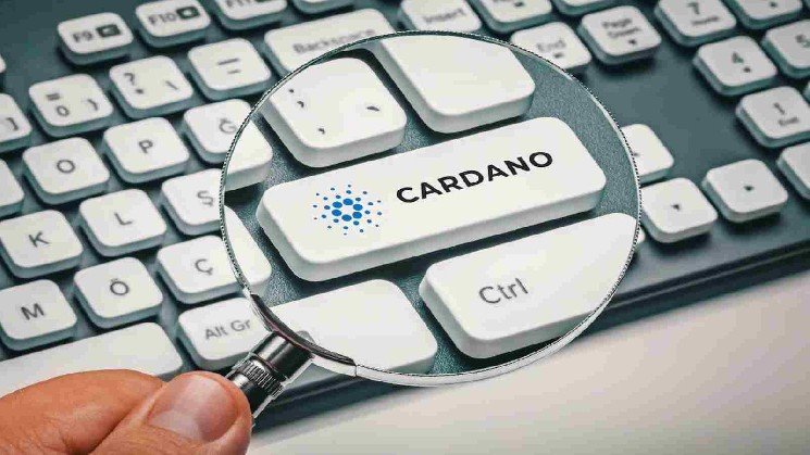 Cardano price prediction after ADA flashes major buy signal