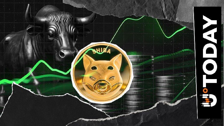 Shiba Inu Posts 26.4% Surge in Active Addresses Despite Prolonged Volatility