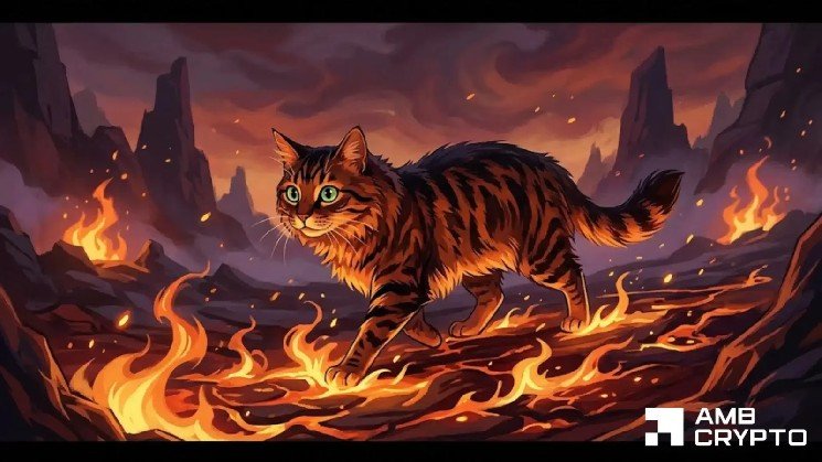 Cash Cat drops 15% – Can the memecoin’s $0.087 support survive?