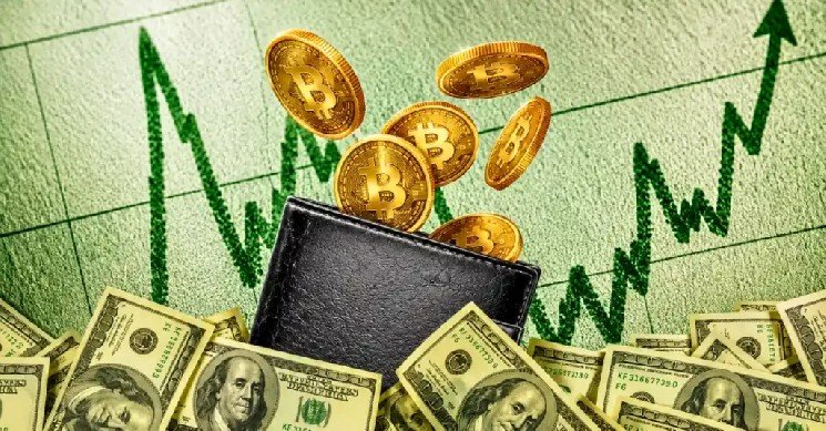 Why Crypto Market Is Up Today?