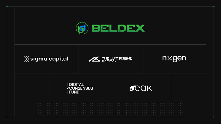 Privacy blockchain Beldex raises $8M to build encryption tools for AI agents