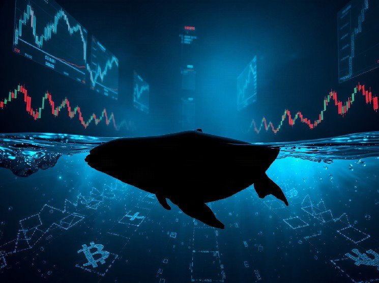 Whale Opens $81.6M in Leveraged BTC and ETH Shorts on Hyperliquid