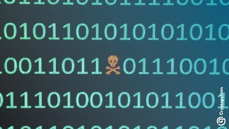 The connect-wallet prompt is the tell on a fake AML screening site