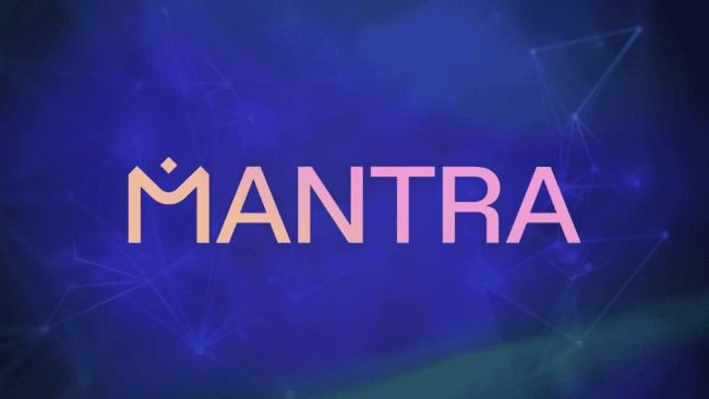 MANTRA freezes all transactions and network following unspecified incident