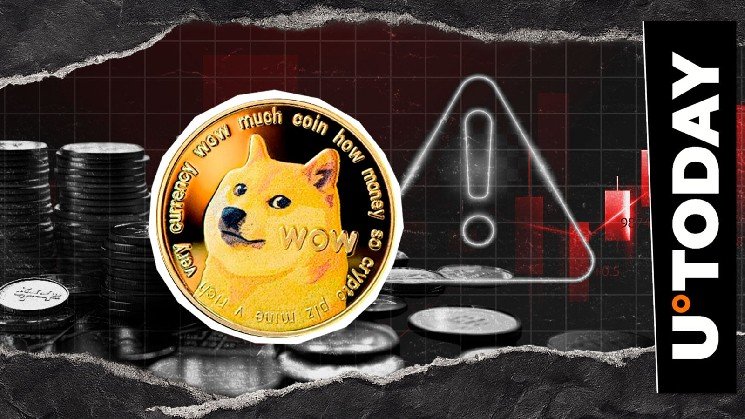 Potential Bull Trap? Dogecoin Contributor Warns on Crypto Market Surge