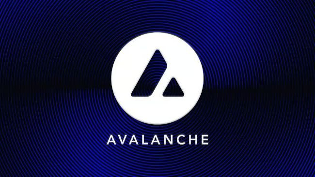 Avalanche's Nahas: Token prices are down, but 'I've never seen more opportunities' in crypto
