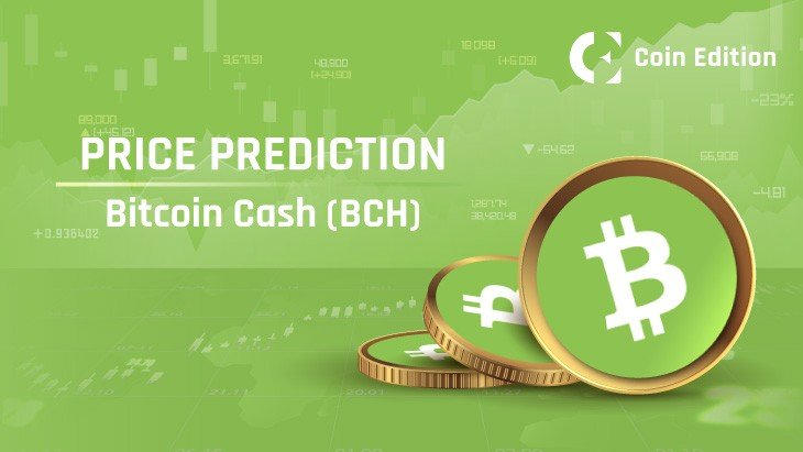 Bitcoin Cash Price Prediction: BCH Surges 17% as August Gains Top 25%