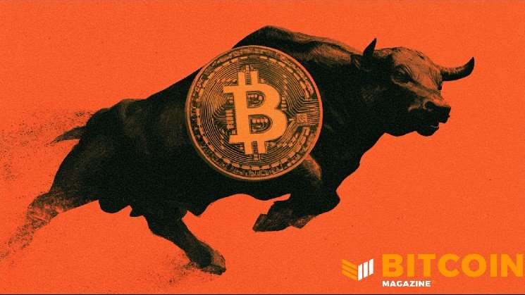 Bitcoin Has Its Best Week Since 2023 as Shortsellers Continue To Get Wiped Out