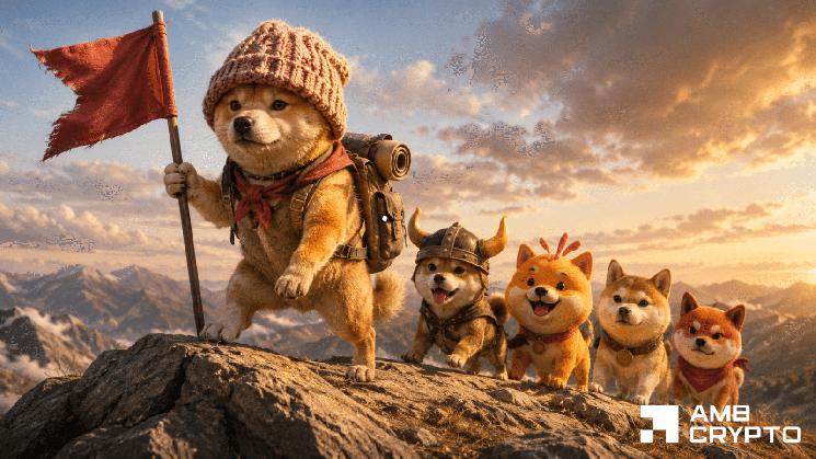 dogwifhat outpaces FLOKI, BONK and DOGE – Why is WIF leading pack?
