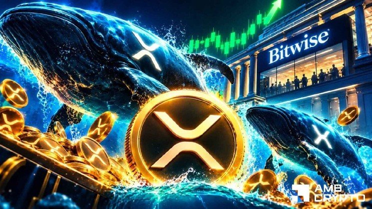 XRP hits 7-month high despite $109M liquidations — What happens next?