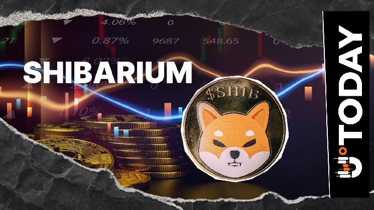 'Shibarium Isn't Abandoned': SHIB Veteran Debunks Claims of Shiba Inu L2 Not Working