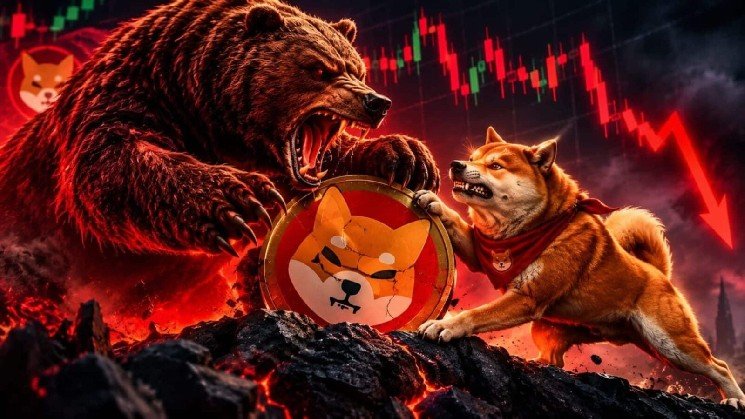 Shiba Inu plunges 16% amid intense selling pressure: Can SHIB bulls hold on?