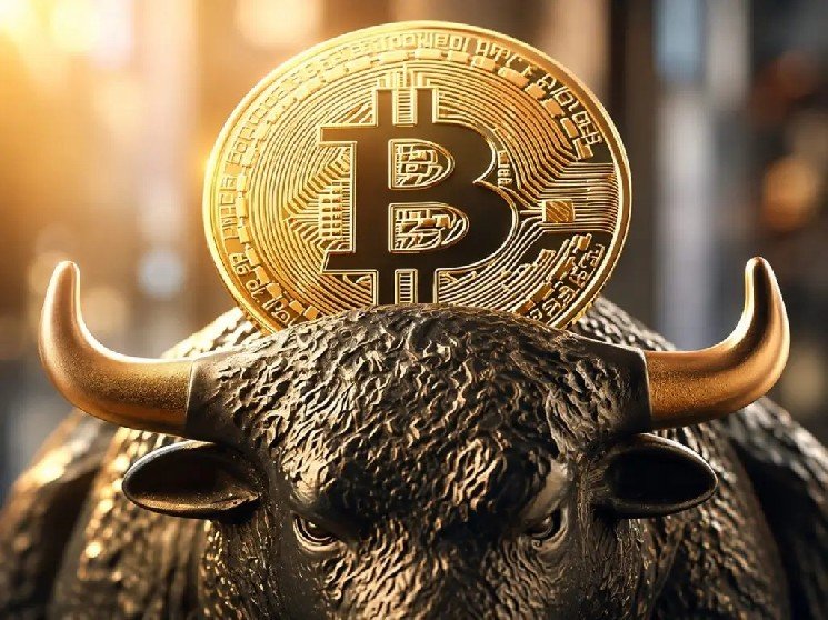 Bitcoin Price Surpasses $80,000 – Bullish Sentiment Prevails: Here Are the Latest Data and the Reason Behind the Rally