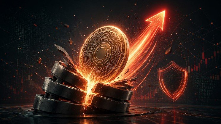 Bitfinex Warns of Critical Bitcoin Week After Aggressive $79K Short Squeeze
