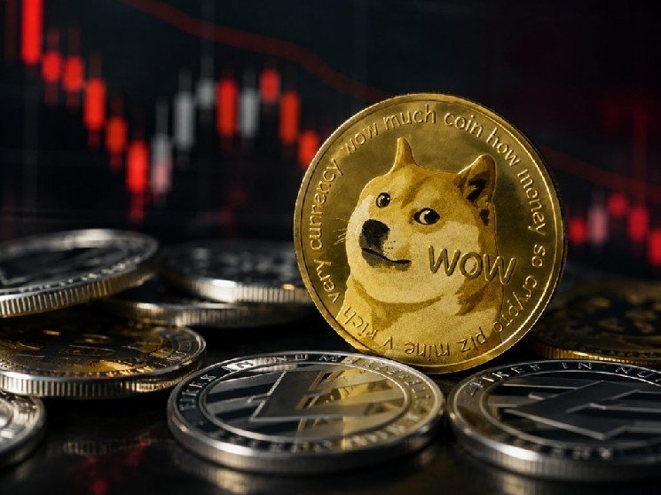 Bad News from a Company That Has Accumulated a Large Amount of Dogecoin (DOGE)
