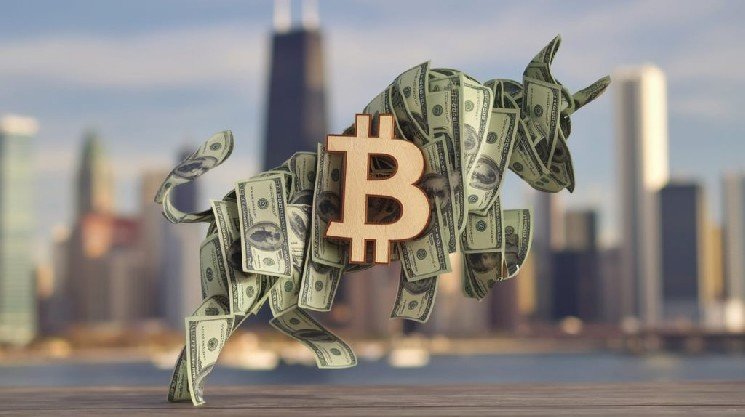 Is Bitcoin’s Recent Rally Healthy, or Is It a Trap?