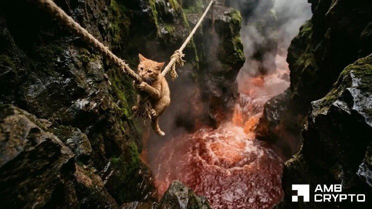 CASHCAT surges 25% as THIS group returns – Is the current rally built to last?
