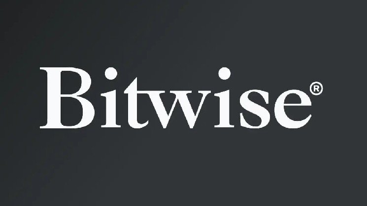 Bitwise CIO Sees Crypto Bull Case Strengthening on 5 Key Shifts