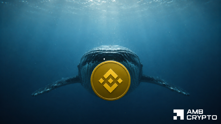 Binance Coin: Can a $8.5M whale position keep BNB above $700?