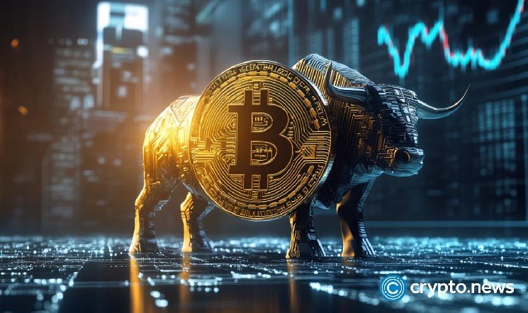Bitcoin price hits $80,000 after 28% rally