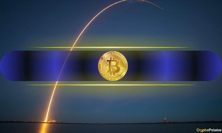 Why Did Bitcoin Explode Past $81K? 4 Macro Factors Behind the Rally