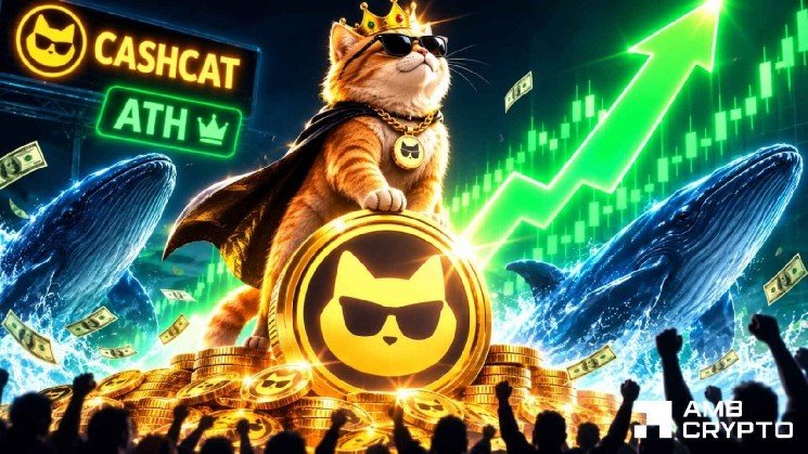 CASHCAT surges 53%, hits a new ATH – Can bulls sustain these massive gains?