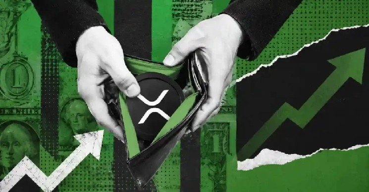 XRP Rich List Update: 44,896 XRP Is Enough for the Top 1% of Holders