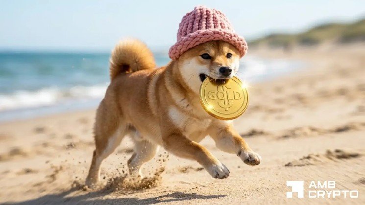 dogwifhat volume surges 128% to $190M – $0.26 next for WIF if supply breaks