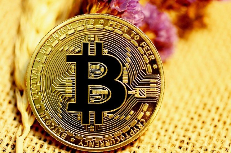 On-Chain Data for Bitcoin and Altcoins Has Been Updated: Here’s the Latest Information You Need to Know